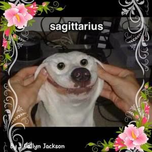 Meet your Posher, Marcy